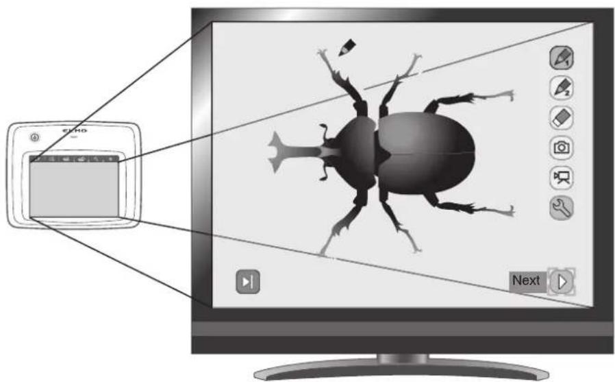 Diagram illustrating a video camera setup with an insect on screen, showing the screen and playback controls.
