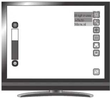 Brightness Auto Manual