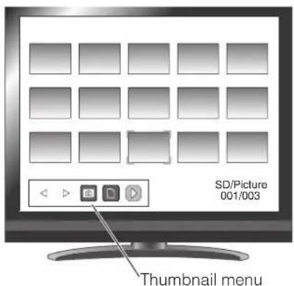 SD/Picture 001/003 Thumbnail menu
