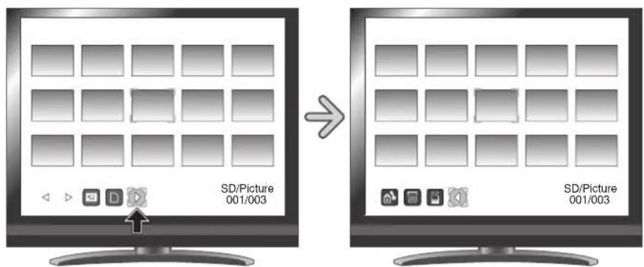 SD/Picture 001/003 SD/Picture 001/003