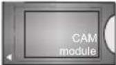 VESTEL 48UA8900 - Connections - 20