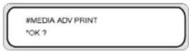 HP Designjet 8000s - Calibrate media advance - 5
