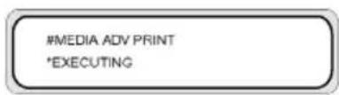 HP Designjet 8000s - Calibrate media advance - 6