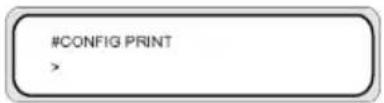 HP Designjet 8000s - Configuration print (CONFIG PRINT) - 1