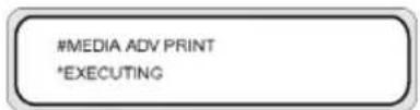 HP Designjet 8000s - Calibrate media advance - 14