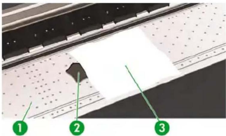HP Designjet 8000s - Clean the platen - 2