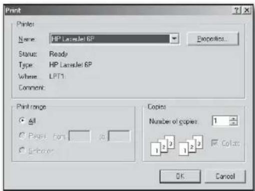 Print Printer: Name: HP LaserJet 6P Status: Ready Type: HP LaserJet 6P Where: LPT1 Comment: Print range All Pages from 10 G-Boxer Copies Number of copies: 1 1 2 3 1 2 3 Colors OK Cancel