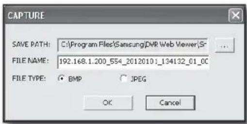 CAPTURE SAVE PATH: C:\Program Files\Samsung\DVR Web Viewer\Sr FILE NAME: 192.168.1.200_554_20120101_134132_01_0C FILE TYPE: BMP JPEG OK Cancel