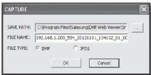 CAPTURE SAVE PATH: C:\Program Files\Samsung\DVR Web Viewer(Sr FILE NAME: 192.168.1.200_554_20120101_134132_01_0C FILE TYPE: ○ DMP ○ JPEG OK Cancel