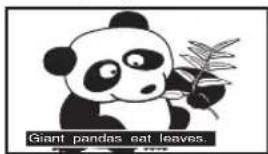 Giant pandas eat leaves.