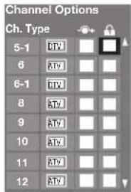 Channel Options Ch. Type 5-1 DV 6 ATV 6-1 DV 8 ATV 9 ATV 10 ATV 11 ATV 12 ATV