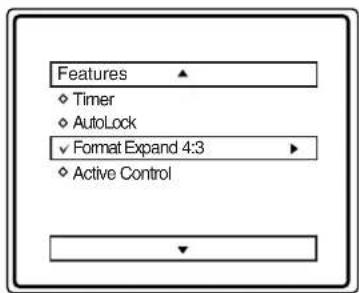 Features Timer AutoLock Format Expand 4:3 Active Control
