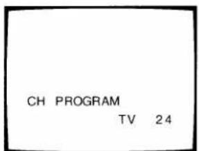 CH PROGRAM TV 24