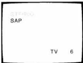 STEPSO SAP TV 6