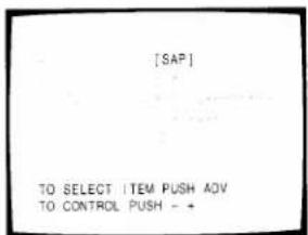 [SAP] TO SELECT ITEM PUSH AOV TO CONTROL PUSH - +