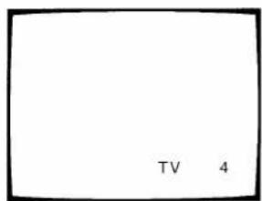 TV 4