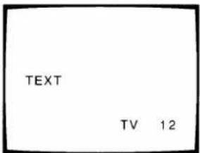 TEXT TV 12
