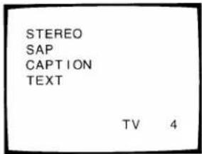 STEREO SAP CAPTION TEXT TV 4