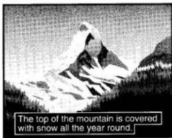 The top of the mountain is covered with snow all the year round.