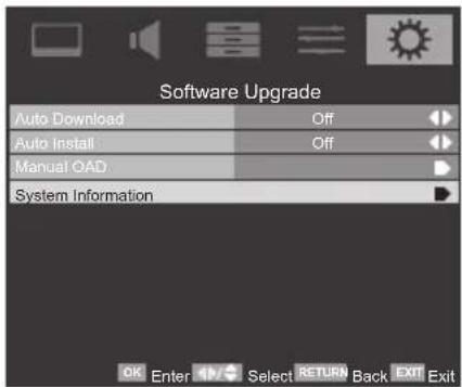 Software Upgrade Auto Download Off Auto Install Off Manual OAD System Information