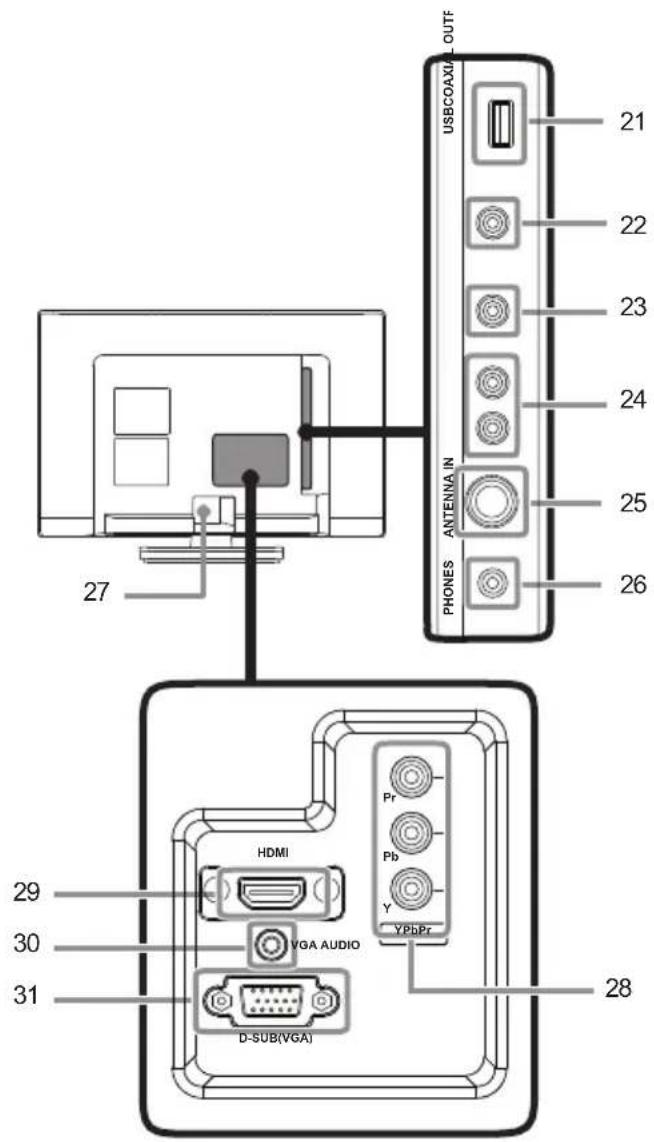 USBCOAXI OUTF 21 22 23 24 25 26 27 ANTENNA IN PHONES HDMI Pr Pb Y YPbPr VGA AUDIO D-SUB(VGA) 28 29 30 31