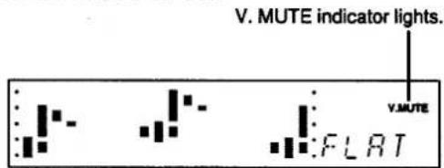 V. MUTE indicator lights. V.MUTE FLAT