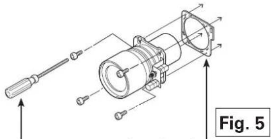 Fig. 5
