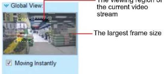 Global View: The viewing region of the current video stream The largest frame size Moving Instantly