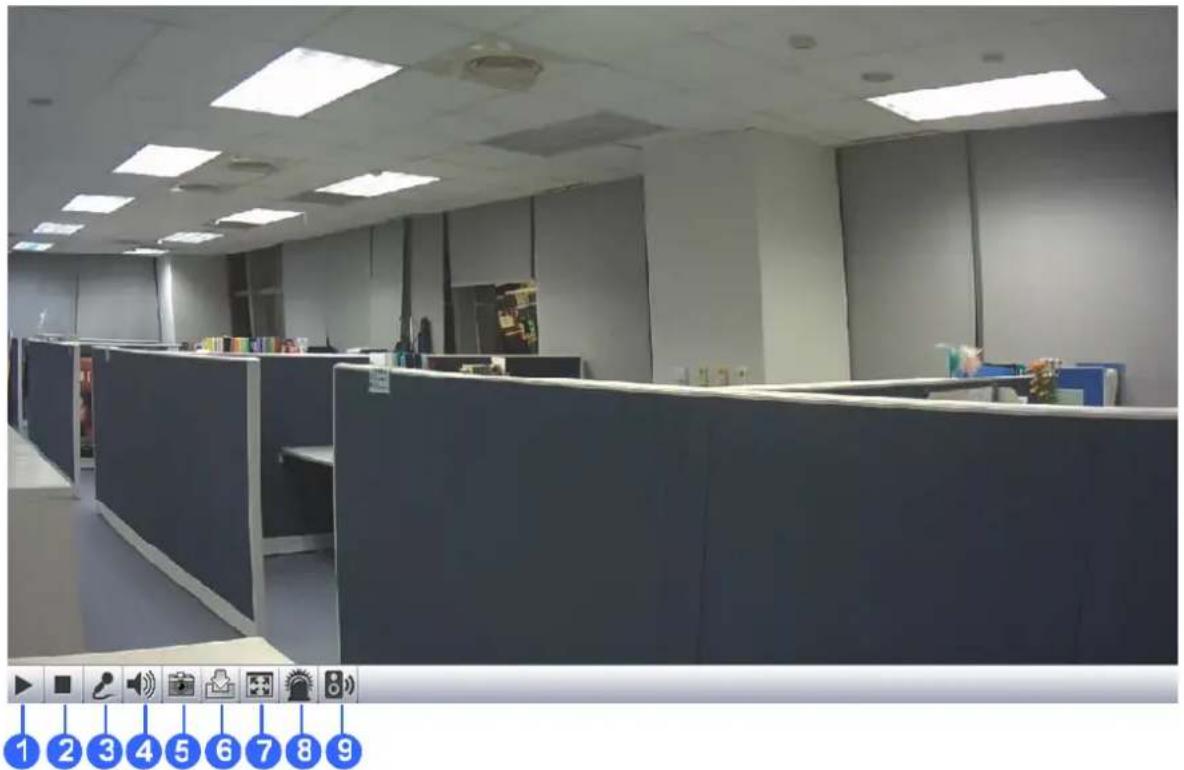 Geovision GV-MFDC1501-0FV - Internet Explorer - 1
