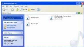 Microsoft Office 2 File Edit View Insert Tools Help View History Share Tools File and Folder Options Share to Book Share to Format Other Files Details Microsoft Excel (E) Microsoft Word My Computer NT