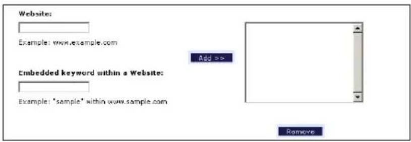 Website: Example: www.example.com Added >> Embedded keyword within a Website: Example: 'sample' within www.sample.com Remove