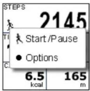HOLUX GPSPort 260 Lite - Pedometer Mode - 2