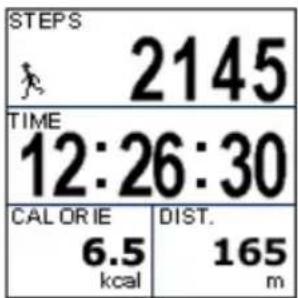 HOLUX GPSPort 260 Lite - Pedometer Mode - 3