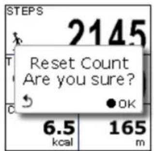 HOLUX GPSPort 260 Lite - Pedometer Mode - 5