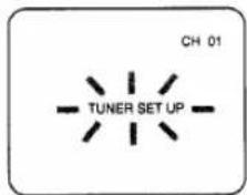 SYLVANIA 2965LF - CHANNEL SET UP (Automatic) - 5