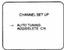 CHANNEL SET UP → AUTO TUNING ADD/DELETE CH