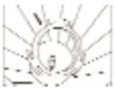 Aroma AIC-304EM - How to Use: - 3