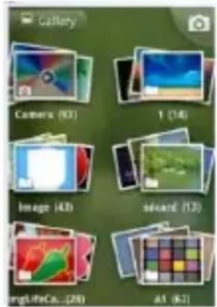 Gallery Camers (01) 1 (14) Image (43) square (13) orglifeCa... (28) A1 (62)