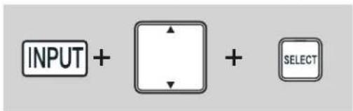 INPUT + + SELECT