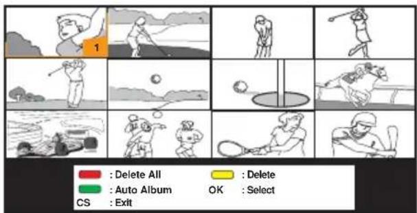 1 Delete All Auto Album CS : Exit Delete OK : Select