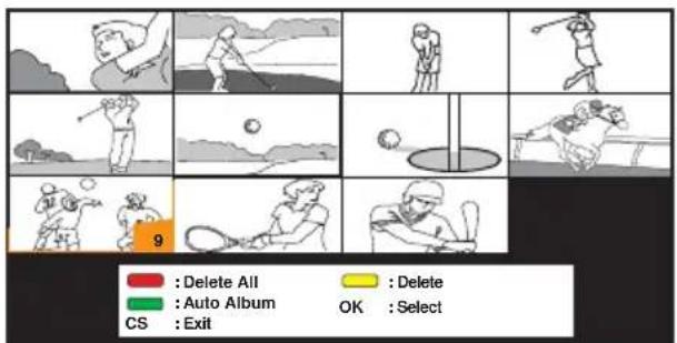 Delete All Auto Album CS : Exit Delete OK : Select
