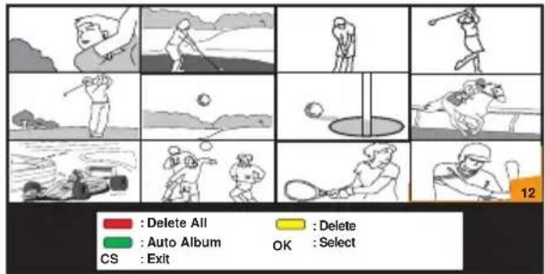 Delete All Auto Album CS : Exit Delete OK : Select 12