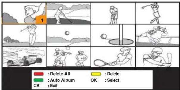 1 Delete All Auto Album CS : Exit Delete OK : Select