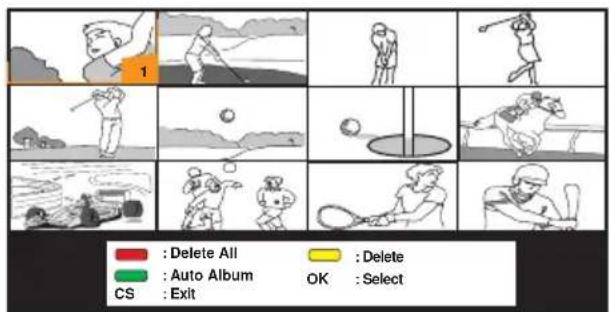 1 Delete All Auto Album CS : Exit Delete OK : Select
