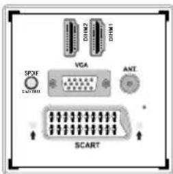 Finlux 32FX5020F - Bileşik Soketler (YPbPr) veya Skart Kablosu Üzerinden DVD Çalar Bağlantısı - 2