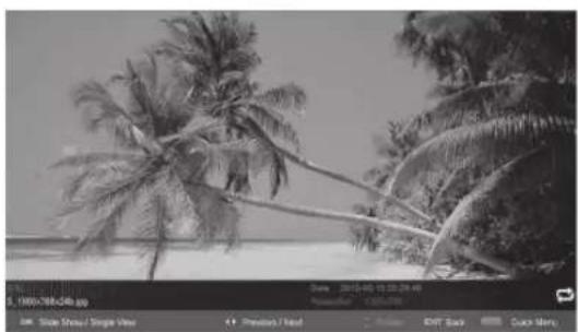 Manta LED2801 - Photo - 1