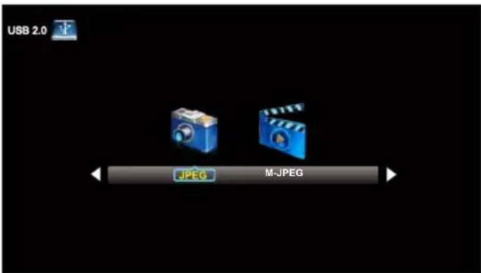 USB 2.0 JPEG M-JPEG