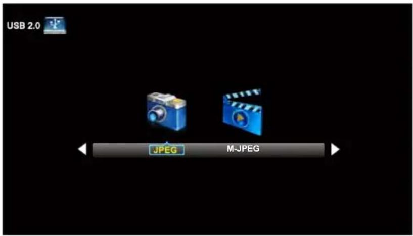 USB 2.0 JPEG M-JPEG