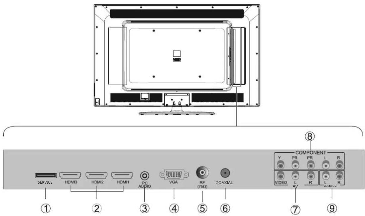 Seiki SC601GS - Rear View - 1
