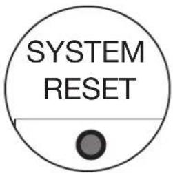 SYSTEM RESET
